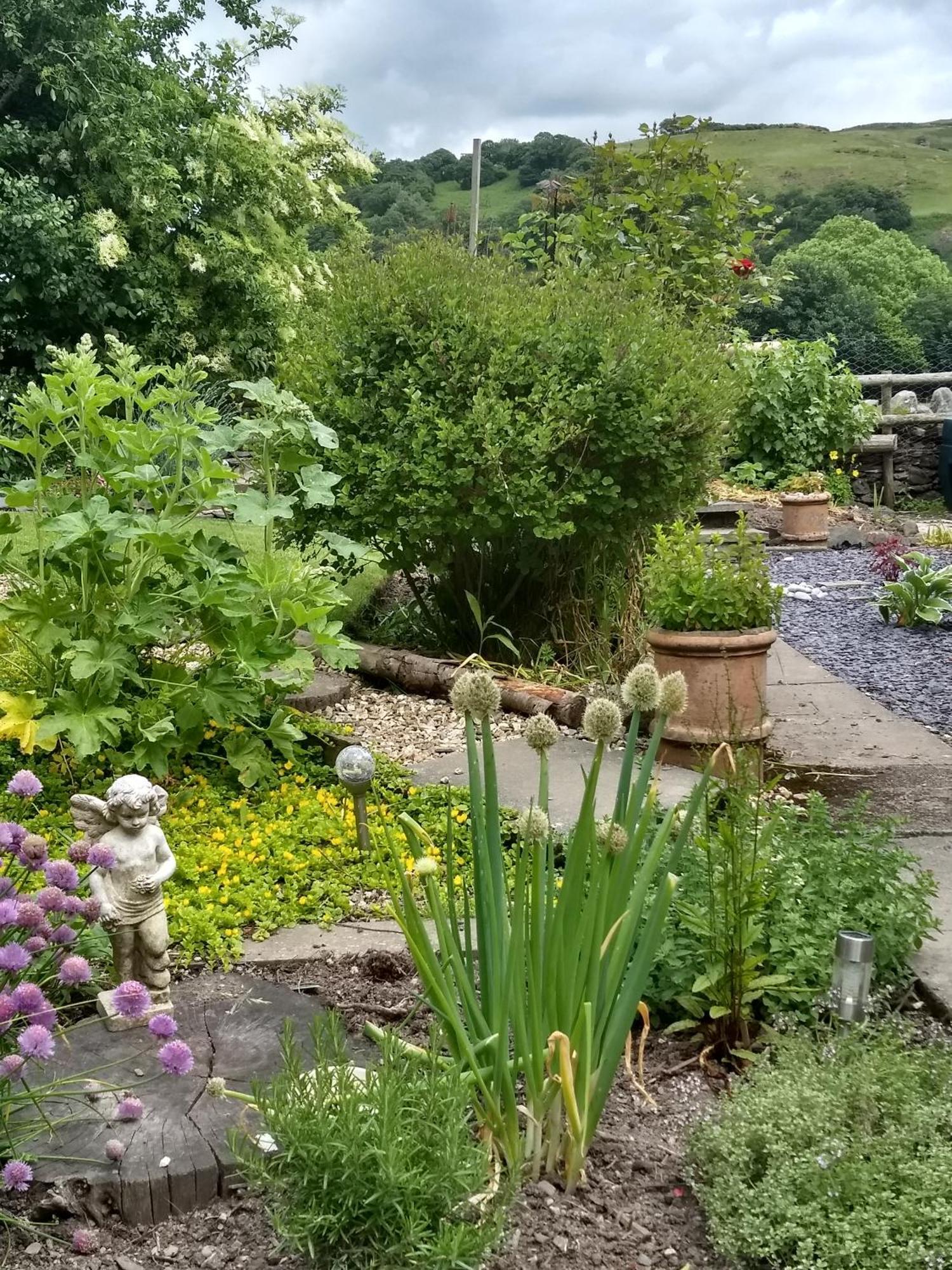 Bed and Breakfast Pentre ISAF à Conwy Extérieur photo